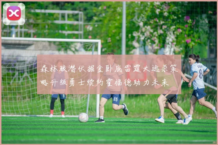 森林狼潜伏掘金卧底雷霆大逃杀策略升级勇士续约霍福德助力未来